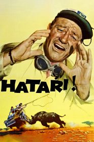 Yify Hatari! 1962