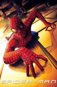 Yify Spider-Man 2002