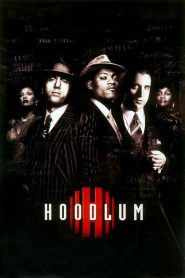 Yify Hoodlum 1997