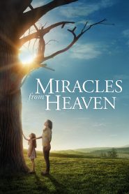 Yify Miracles from Heaven 2016