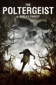 Yify The Poltergeist of Borley Forest 2013
