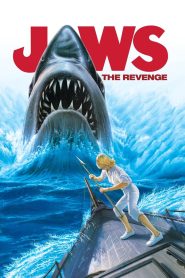 Yify Jaws: The Revenge 1987