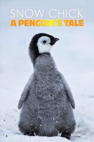Yify Snow Chick – A Penguin’s Tale 2015
