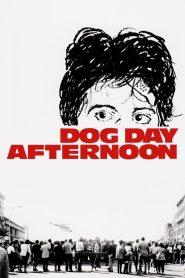Yify Dog Day Afternoon 1975