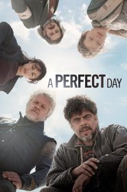 Yify A Perfect Day 2015