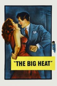 Yify The Big Heat 1953