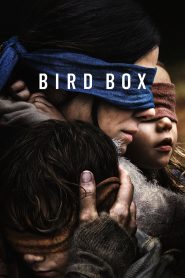 Yify Bird Box 2018