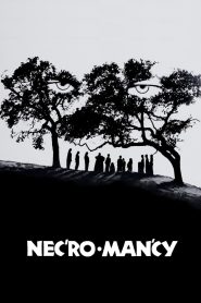 Yify Necromancy 1972