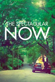 Yify The Spectacular Now 2013