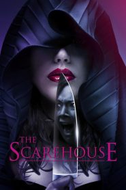 Yify The Scarehouse 2014