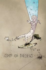 Yify Ship of Theseus 2012