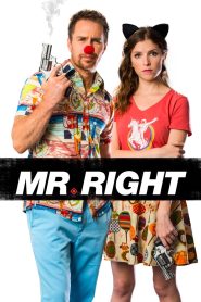 Yify Mr. Right 2016