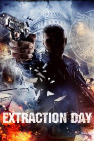 Yify Extraction Day 2014