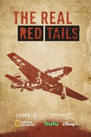 Yify The Real Red Tails 2024