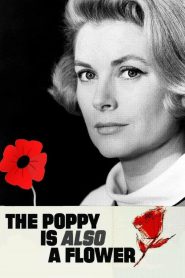 Yify Poppies Are Also Flowers 1966