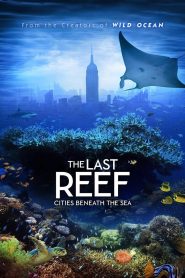 Yify The Last Reef: Cities Beneath the Sea 2012