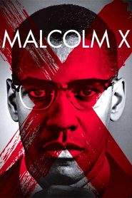 Yify Malcolm X 1992