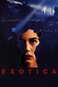 Yify Exotica 1994
