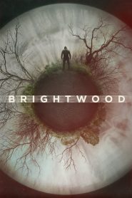 Yify Brightwood 2022