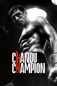 Yify Chandu Champion 2024