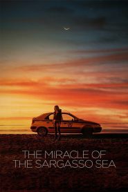 Yify The Miracle of the Sargasso Sea 2019
