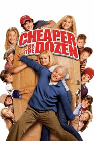 Yify Cheaper by the Dozen 2003