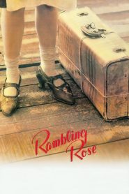 Yify Rambling Rose 1991