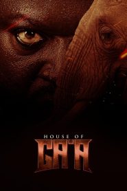 Yify House of Ga’a 2024