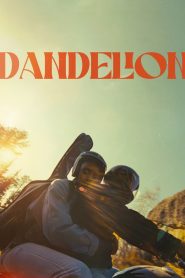 Yify Dandelion 2024