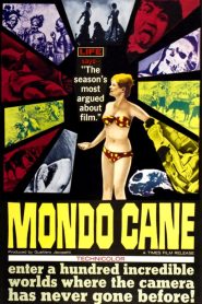 Yify Mondo Cane 1962