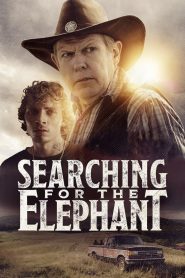 Yify Searching for the Elephant