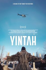 Yify Yintah 2024