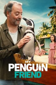 Yify My Penguin Friend 2024