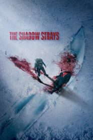 Yify The Shadow Strays 2024