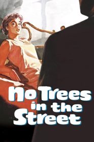 Yify No Trees in the Street 1959