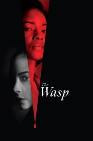 Yify The Wasp 2024