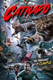 Yify Catnado 2024