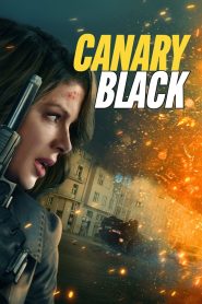 Yify Canary Black 2024