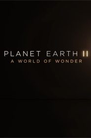 Yify Planet Earth II: A World of Wonder 2017