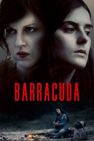 Yify Barracuda 2017