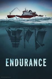 Yify Endurance 2024