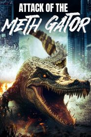 Yify Attack of the Meth Gator 2024