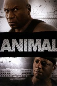 Yify Animal 2005