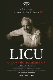 Yify Licu, o poveste românească 2018