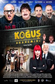 Yify Koğuş Akademisi 2013