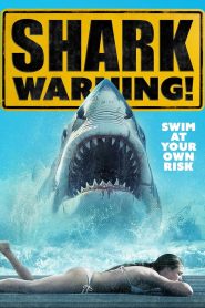 Yify Shark Warning 2024