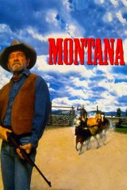 Yify Montana 1990