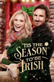 Yify ‘Tis the Season to Be Irish 2024