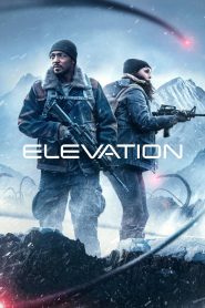 Yify Elevation 2024