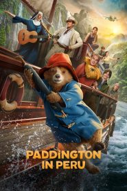 Yify Paddington in Peru 2024